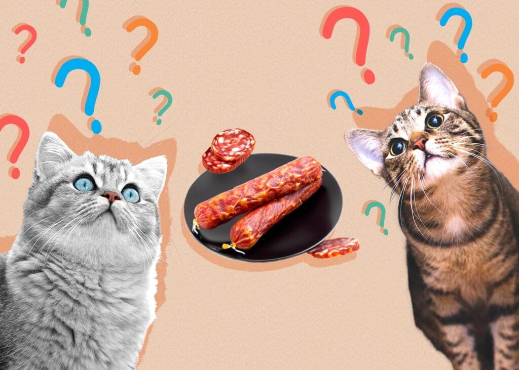 Can Cats Eat Chorizo? Nutrition Facts and Frequently Asked Questions from Vets
