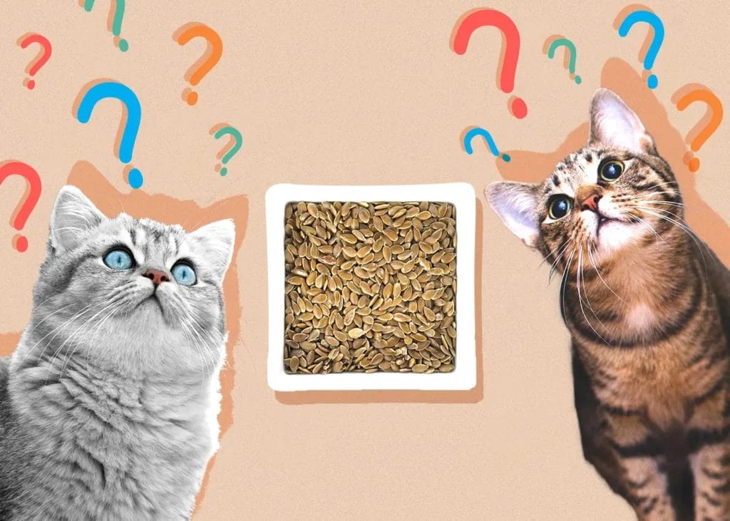 Can Cats Eat Flax Seeds