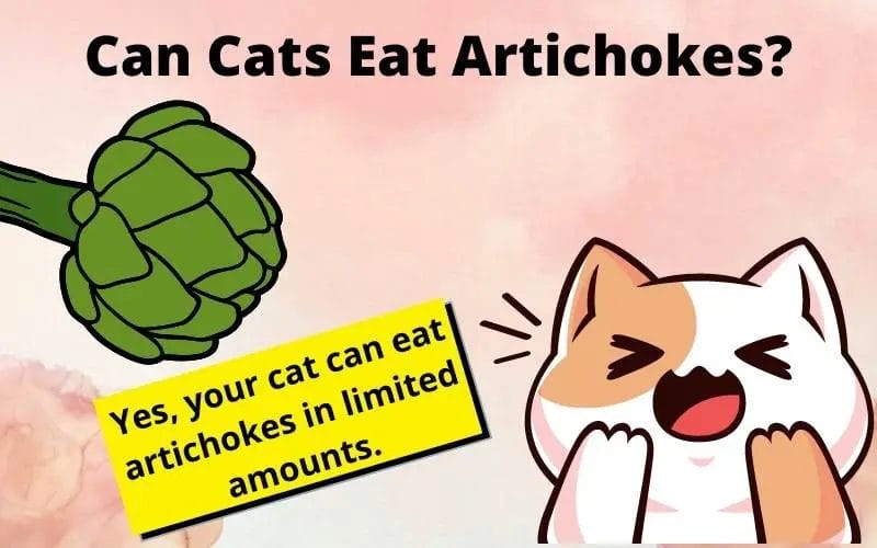 Can Cats Eat Artichoke? Understanding Feline Nutrition