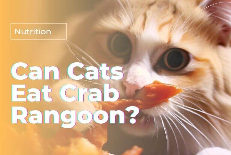 Benefits of Crab to Cats