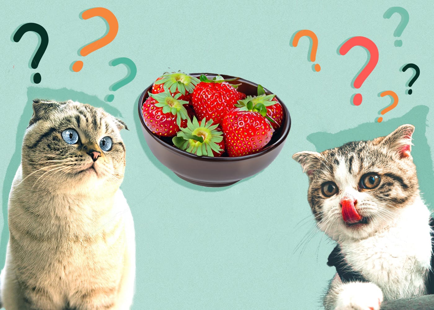 Can Cats Eat Strawberries A Comprehensive Guide