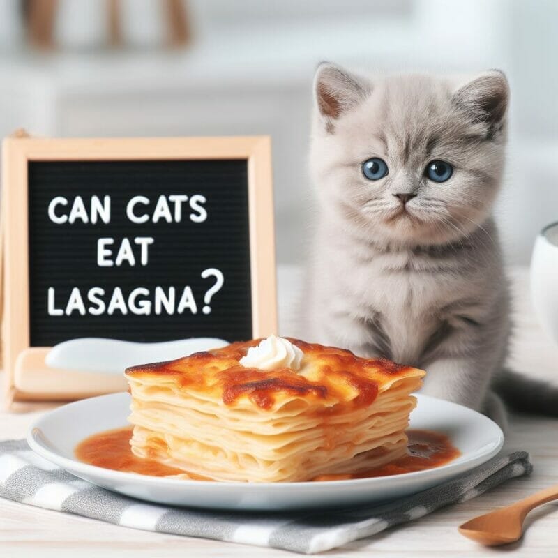 Can cats eat Lasagna? Exploring the Safety of Lasagna for Your Cat